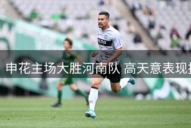 申花主场大胜河南队 高天意表现抢眼