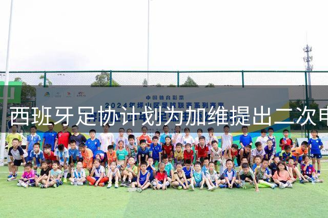 西班牙足协计划为加维提出二次申诉