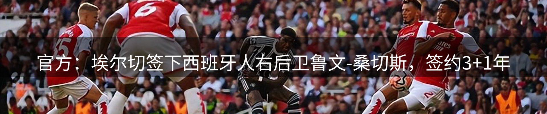 公司观察