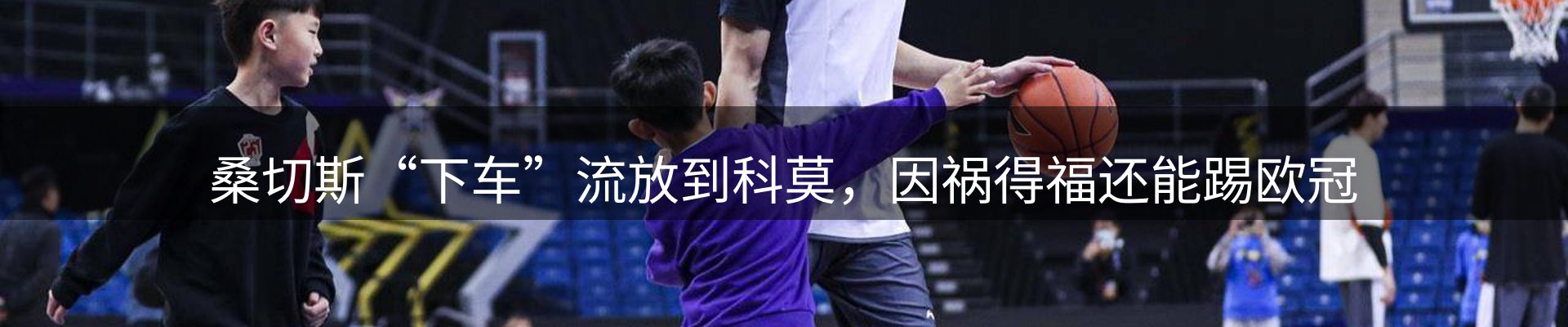 公司观察